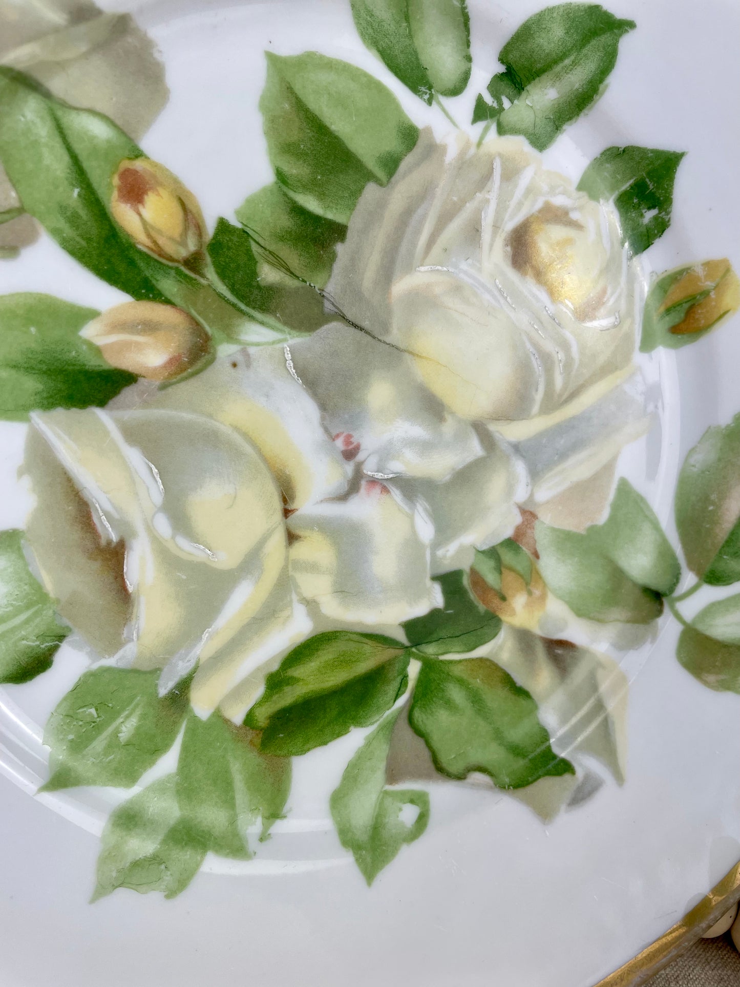 Vintage Bavaria Porcelain Plate with White Roses