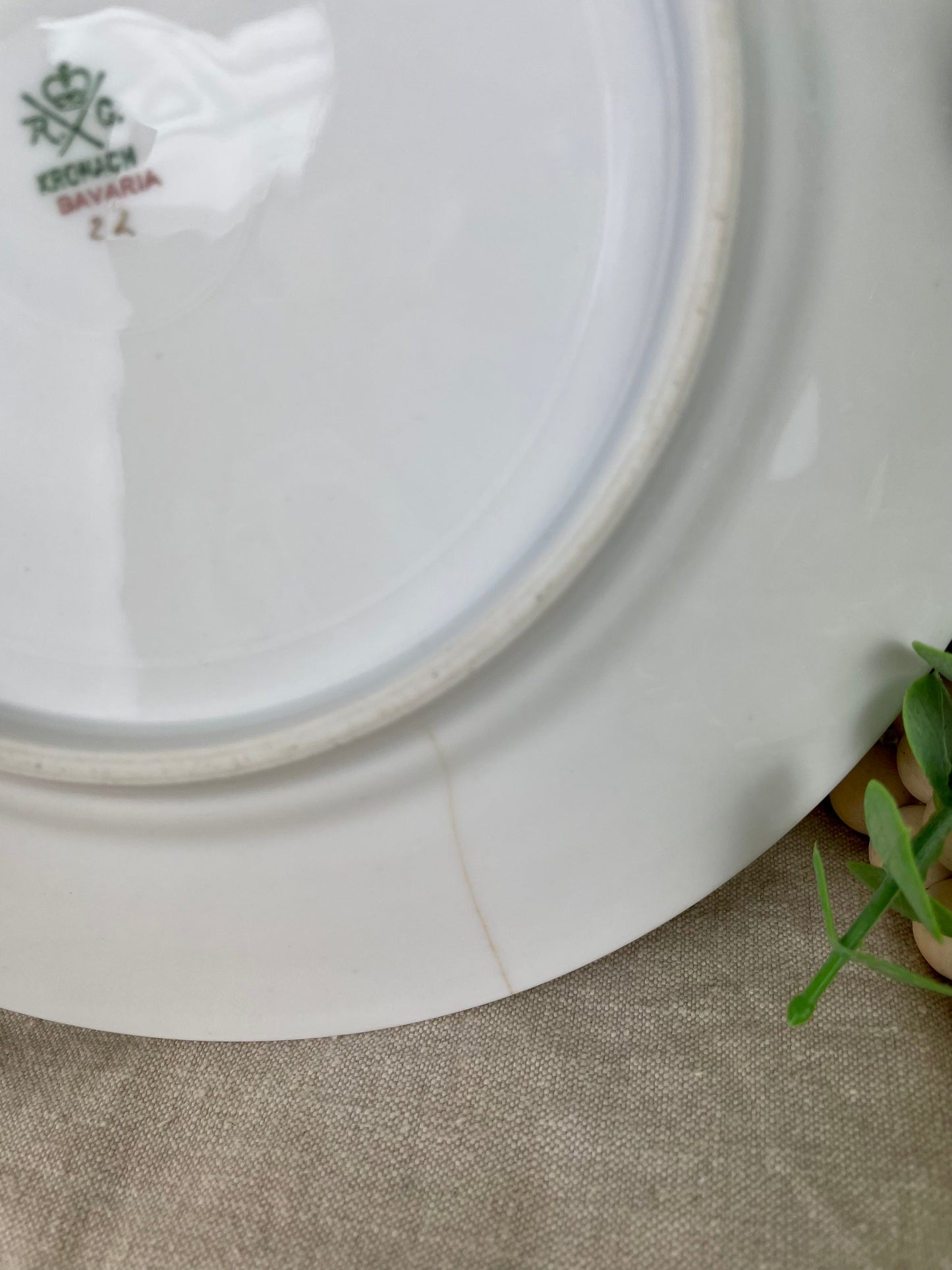 Vintage Bavaria Porcelain Plate with White Roses