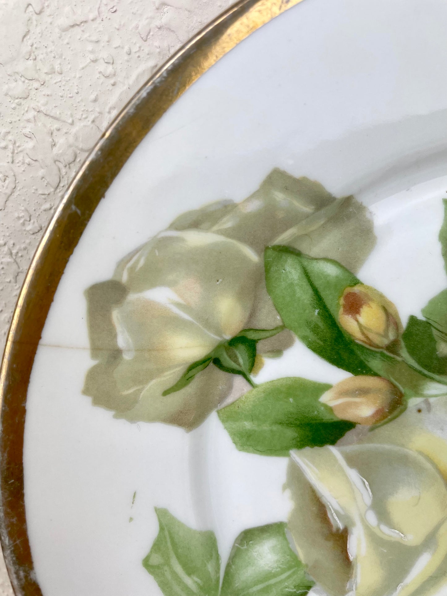 Vintage Bavaria Porcelain Plate with White Roses